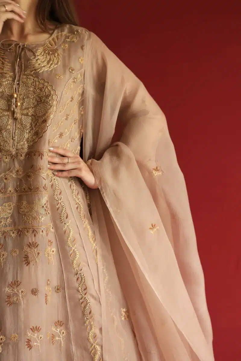 Beige Noor Organza Chikankari Anarkali Set