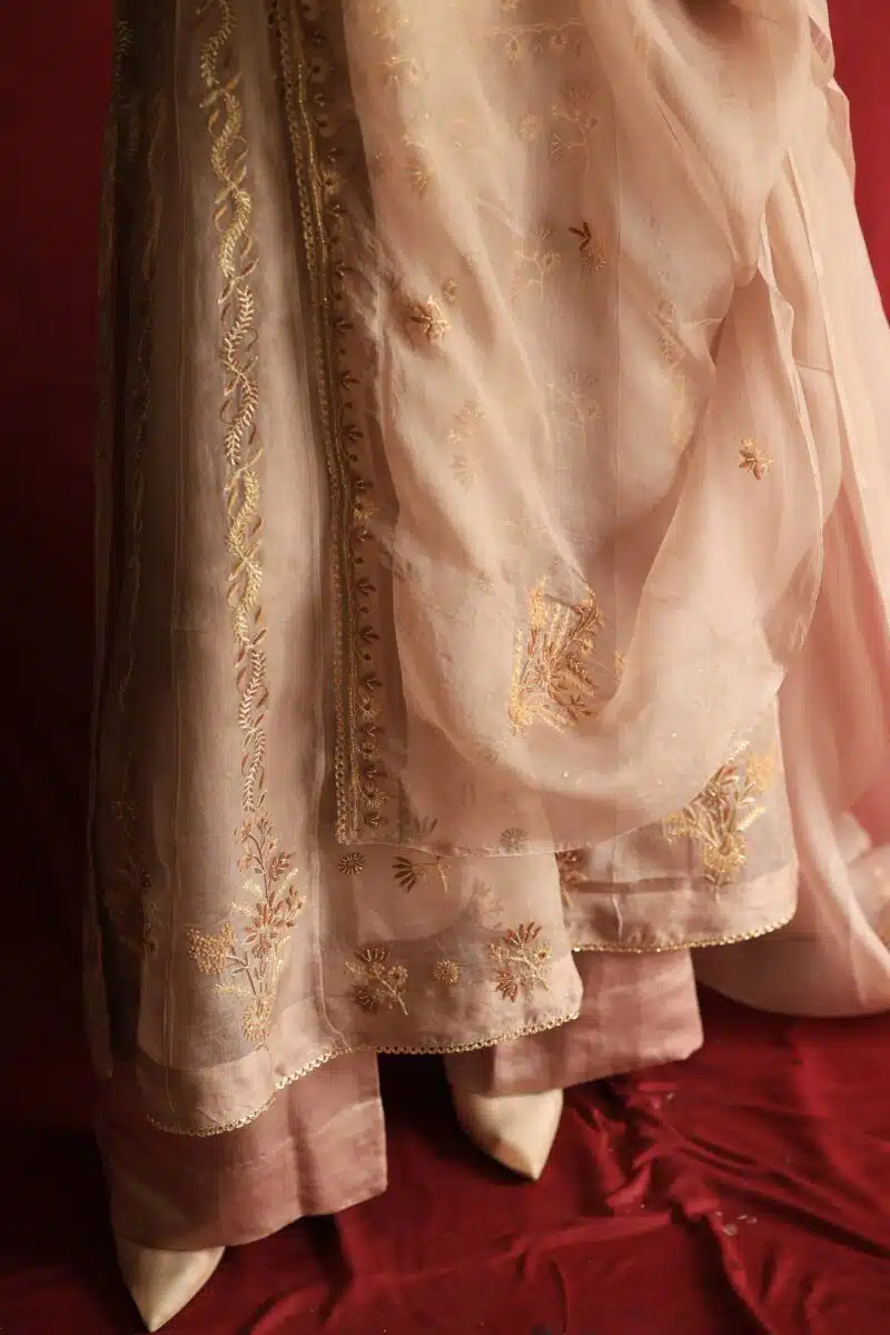 Beige Noor Organza Chikankari Anarkali Set