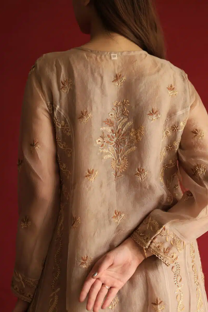 Beige Noor Organza Chikankari Anarkali Set