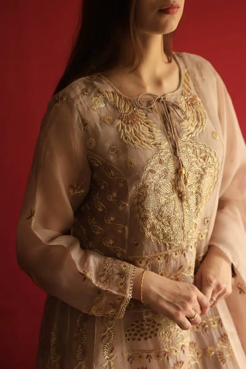 Beige Noor Organza Chikankari Anarkali Set