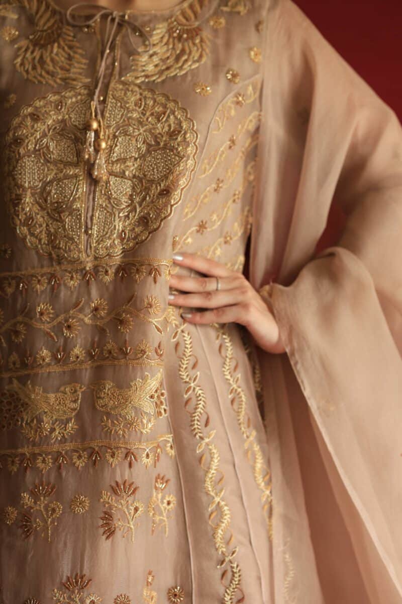 Beige Noor Organza Chikankari Anarkali Set