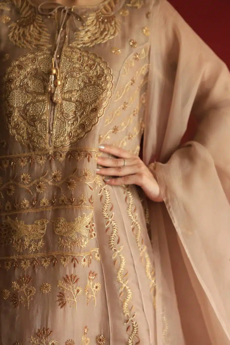 Beige Noor Organza Chikankari Anarkali Set
