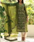 Forest Green Noor Organza Silk Chikankari Straight Cut Kurta Dupatta Set