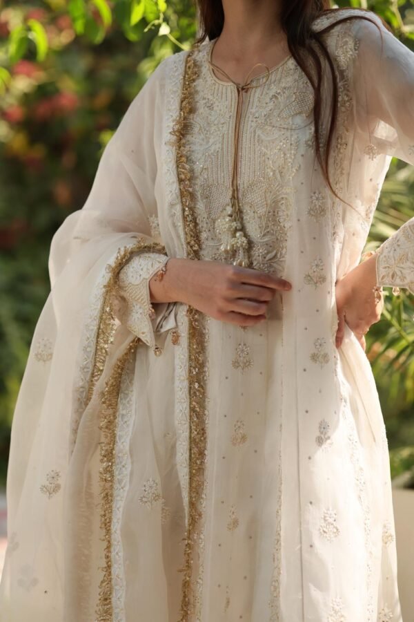 Dove White Noor Organza Chikankari Anarkali