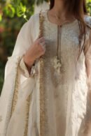 Dove White Noor Organza Chikankari Anarkali