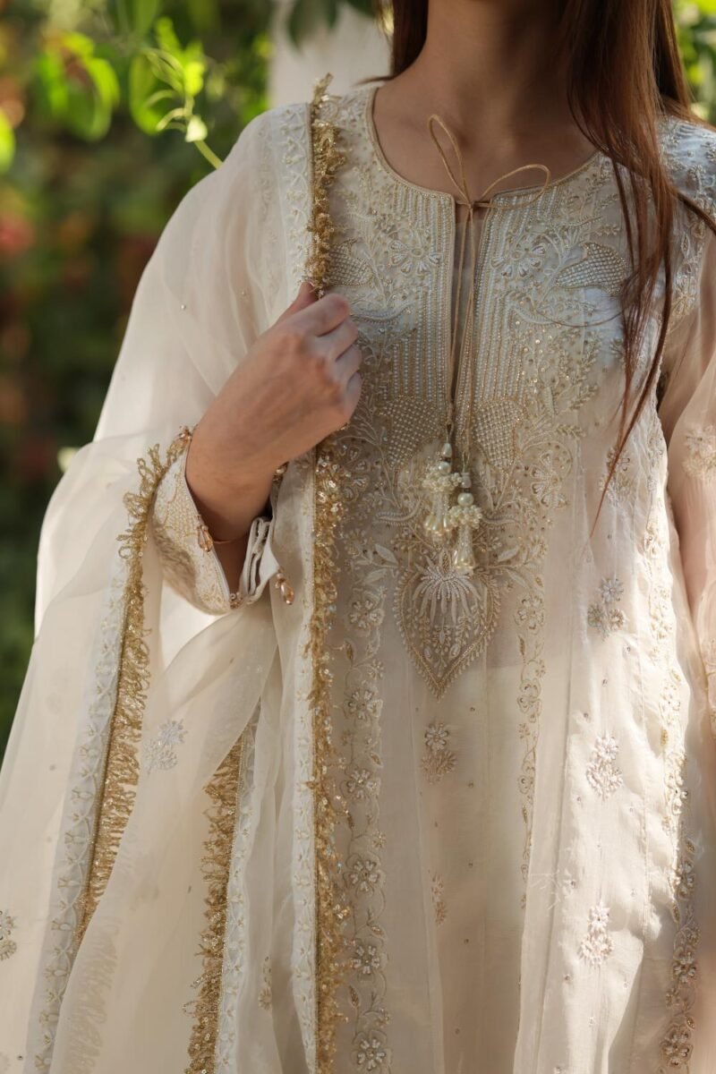 Dove White Noor Organza Chikankari Anarkali
