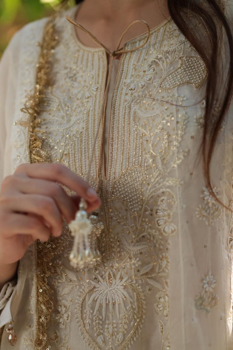 Dove White Noor Organza Chikankari Anarkali