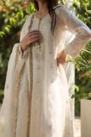 Dove White Noor Organza Chikankari Anarkali