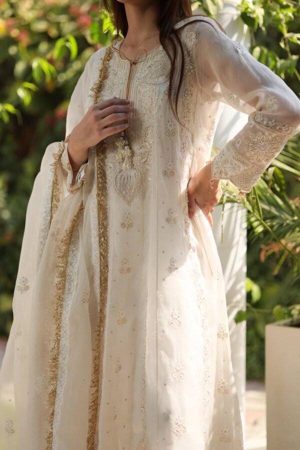 Dove White Noor Organza Chikankari Anarkali - Image 13