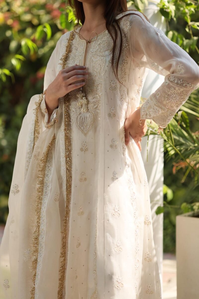 Dove White Noor Organza Chikankari Anarkali