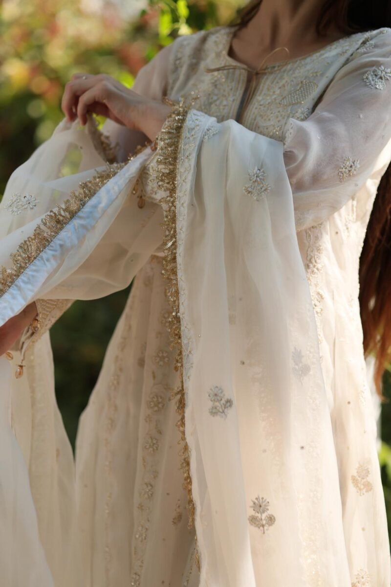Dove White Noor Organza Chikankari Anarkali
