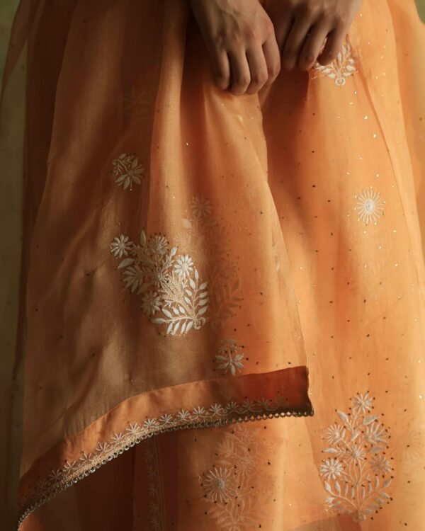 Orange Noor Organza Silk Fine Chikankari with Kamdani Ready to Wear Angarkha - Image 11
