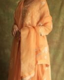 Orange Noor Organza Silk Fine Chikankari with Kamdani Ready to Wear Angarkha