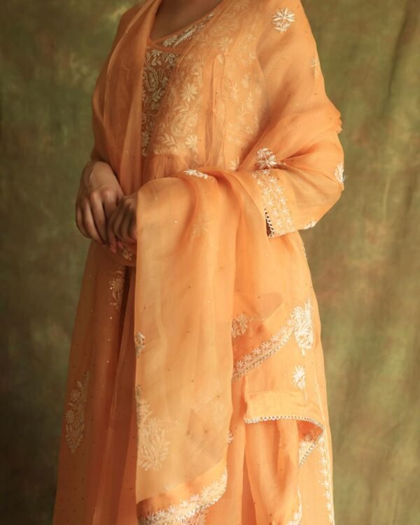 Orange Noor Organza Silk Fine Chikankari with Kamdani Ready to Wear Angarkha