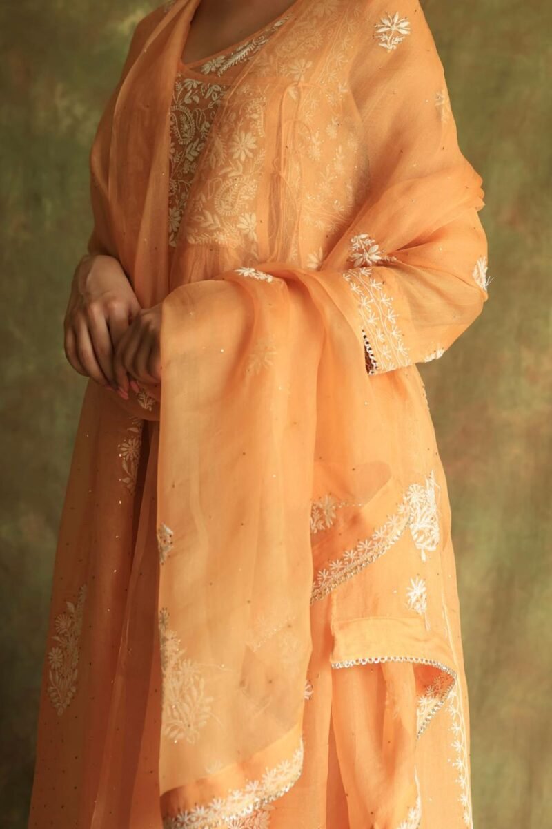 Orange Noor Organza Silk Fine Chikankari with Kamdani Ready to Wear Angarkha