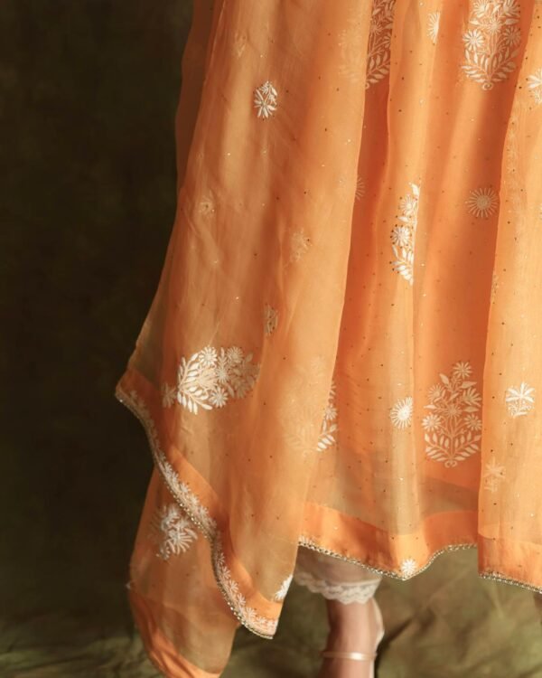 Orange Noor Organza Silk Fine Chikankari with Kamdani Ready to Wear Angarkha - Image 5