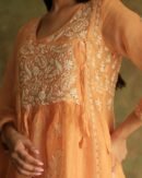 Orange Noor Organza Silk Fine Chikankari with Kamdani Ready to Wear Angarkha