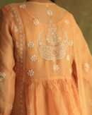 Orange Noor Organza Silk Fine Chikankari with Kamdani Ready to Wear Angarkha