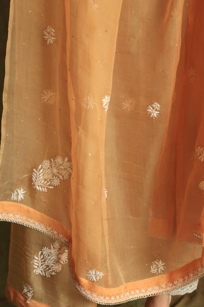 Orange Noor Organza Silk Fine Chikankari with Kamdani Ready to Wear Angarkha
