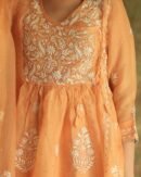 Orange Noor Organza Silk Fine Chikankari with Kamdani Ready to Wear Angarkha