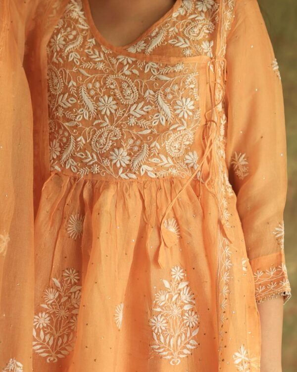 Orange Noor Organza Silk Fine Chikankari with Kamdani Ready to Wear Angarkha - Image 9