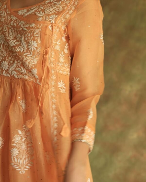 Orange Noor Organza Silk Fine Chikankari with Kamdani Ready to Wear Angarkha - Image 10