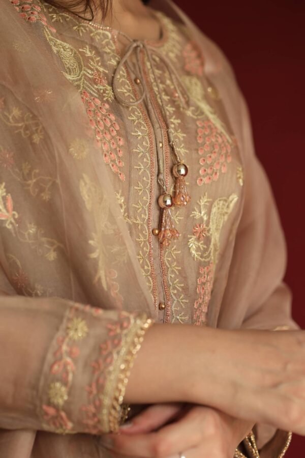 Pastel Beige Noor Organza Chikankari Anarkali With Dupatta - Image 2