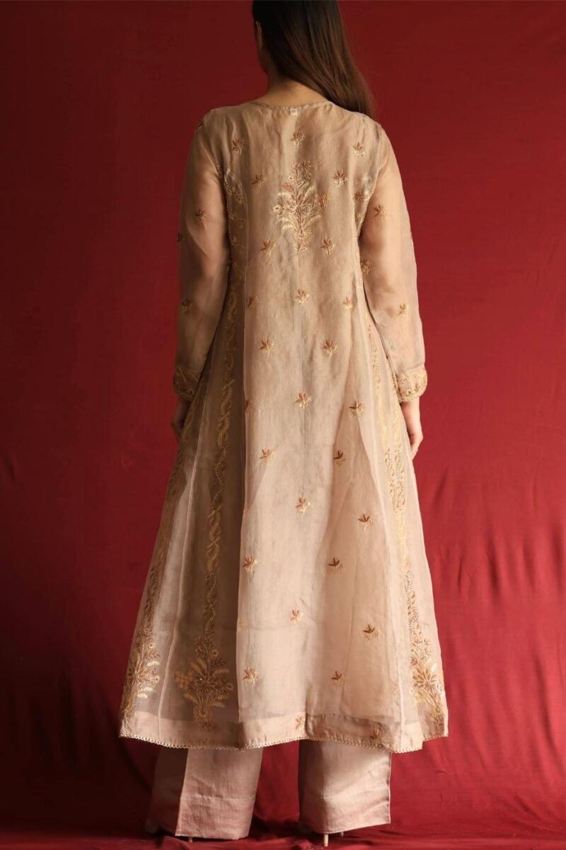 Pastel Beige Noor Organza Chikankari Anarkali With Dupatta