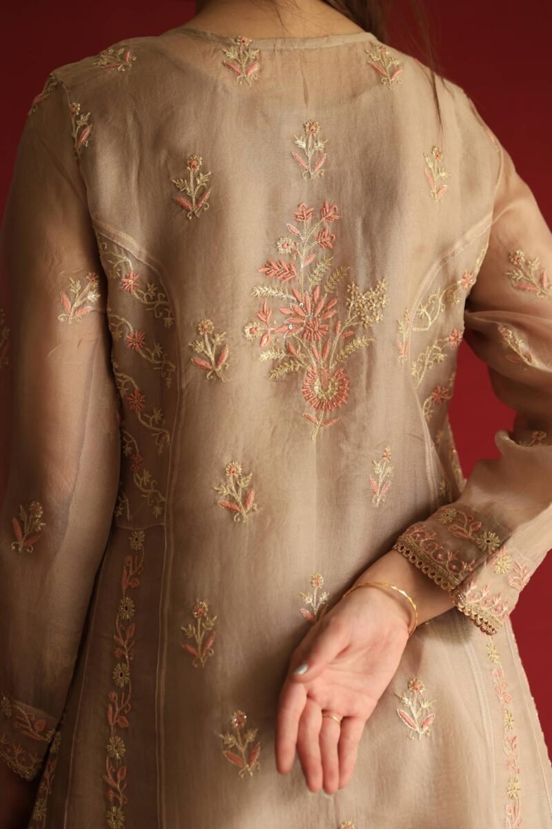 Pastel Beige Noor Organza Chikankari Anarkali With Dupatta