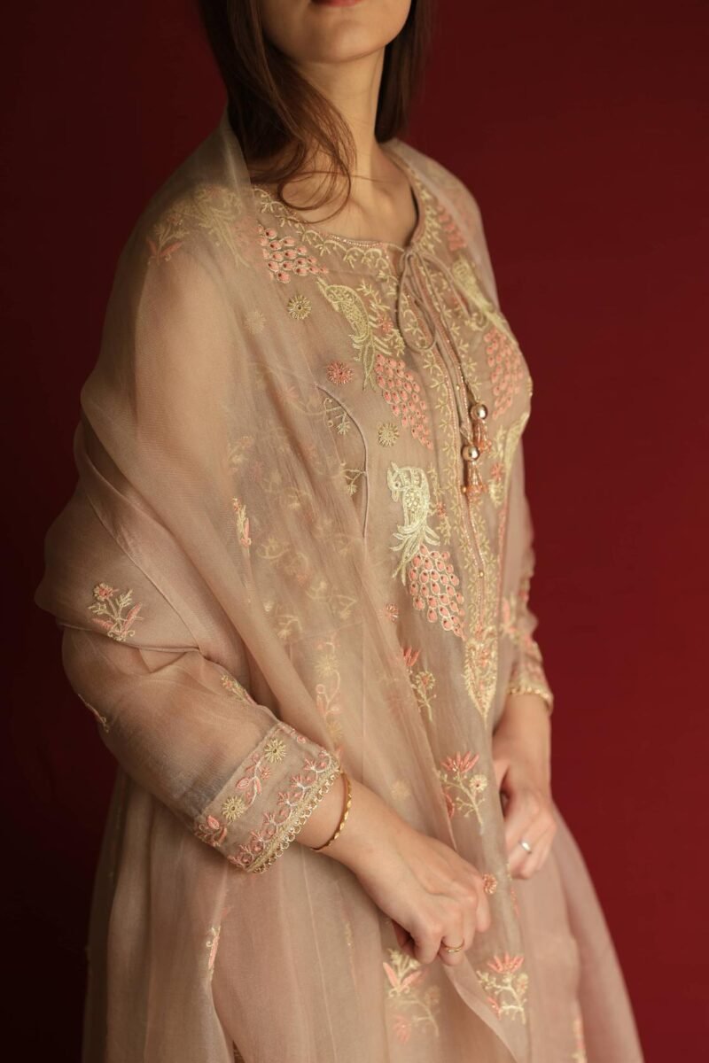 Pastel Beige Noor Organza Chikankari Anarkali With Dupatta