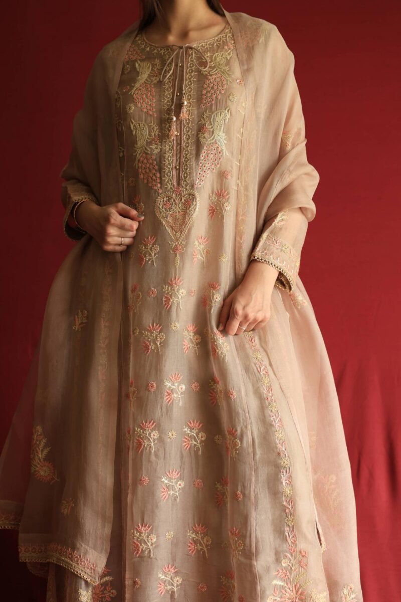 Pastel Beige Noor Organza Chikankari Anarkali With Dupatta