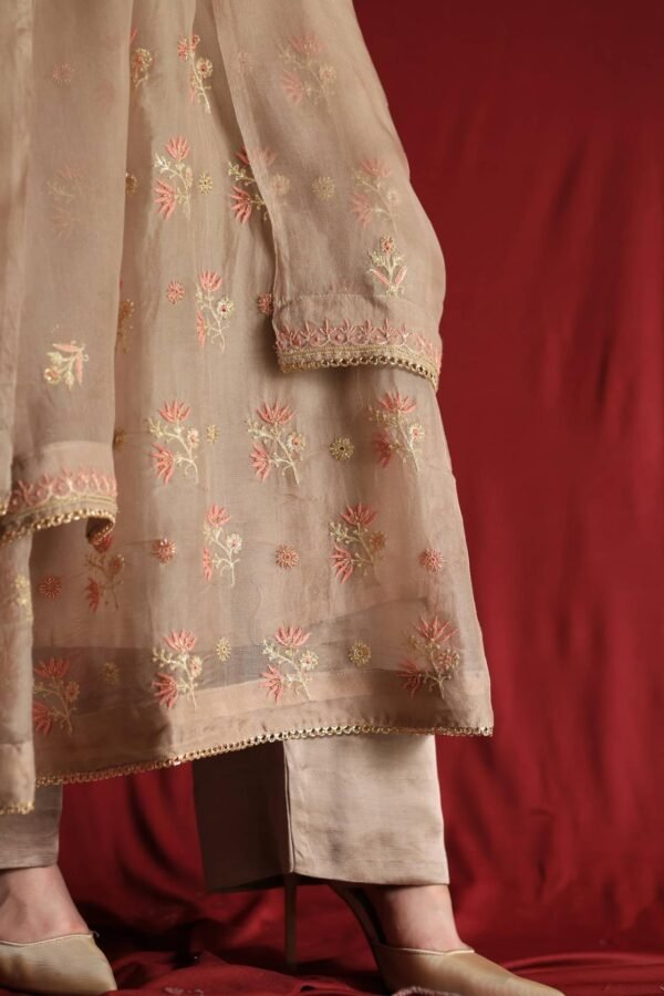 Pastel Beige Noor Organza Chikankari Anarkali With Dupatta - Image 3