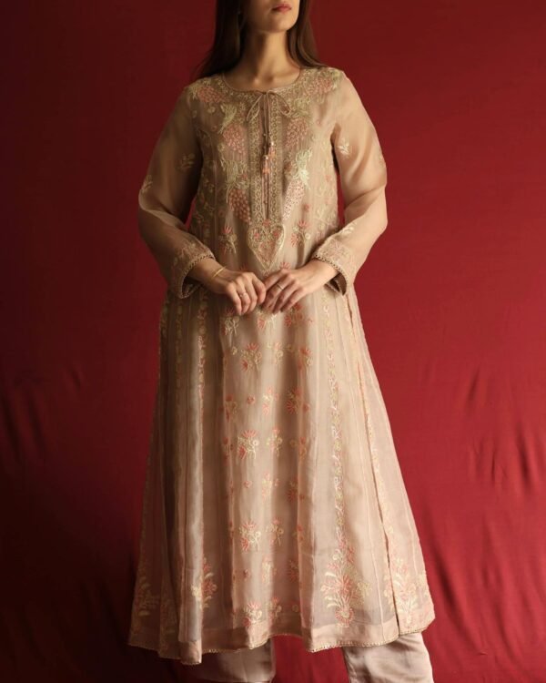 Pastel Beige Noor Organza Chikankari Anarkali With Dupatta - Image 5