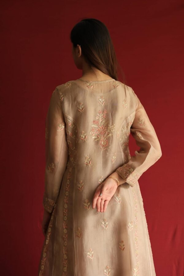 Pastel Beige Noor Organza Chikankari Anarkali With Dupatta - Image 7