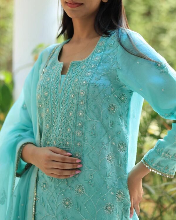 Sea Green Stripe Organza Chikankari Sharara Set - Image 4
