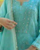 Sea Green Stripe Organza Chikankari Sharara Set