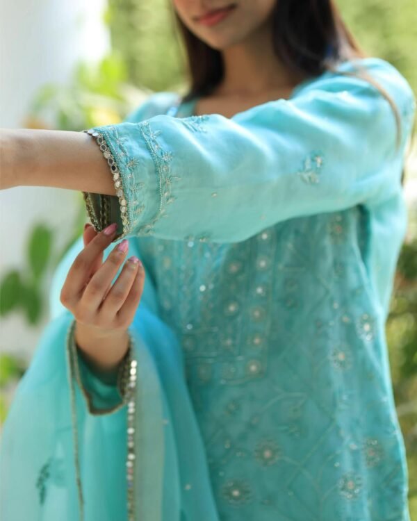 Sea Green Stripe Organza Chikankari Sharara Set - Image 7