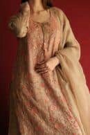 Stripe Organza Chikankari Sharara Set