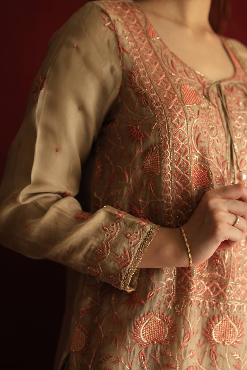 Stripe Organza Chikankari Sharara Set