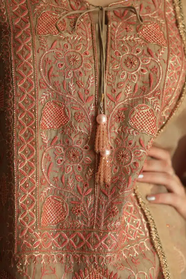 Stripe Organza Chikankari Sharara Set - Image 10