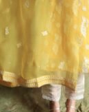 Yellow Noor Organza Silk Chikankari Straight Cut Kurta Dupatta Set