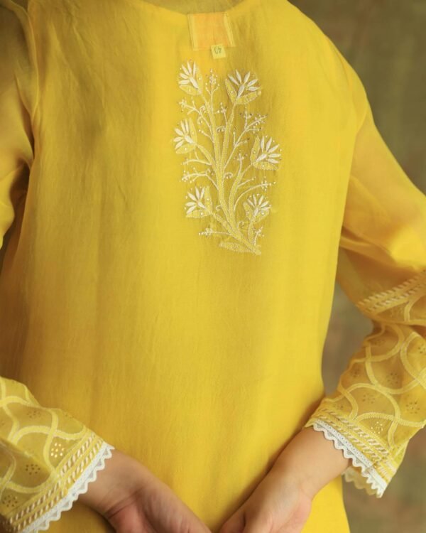 Yellow Mukaish Kamdani Noor Organza Chikankari Kurta Set - Image 9