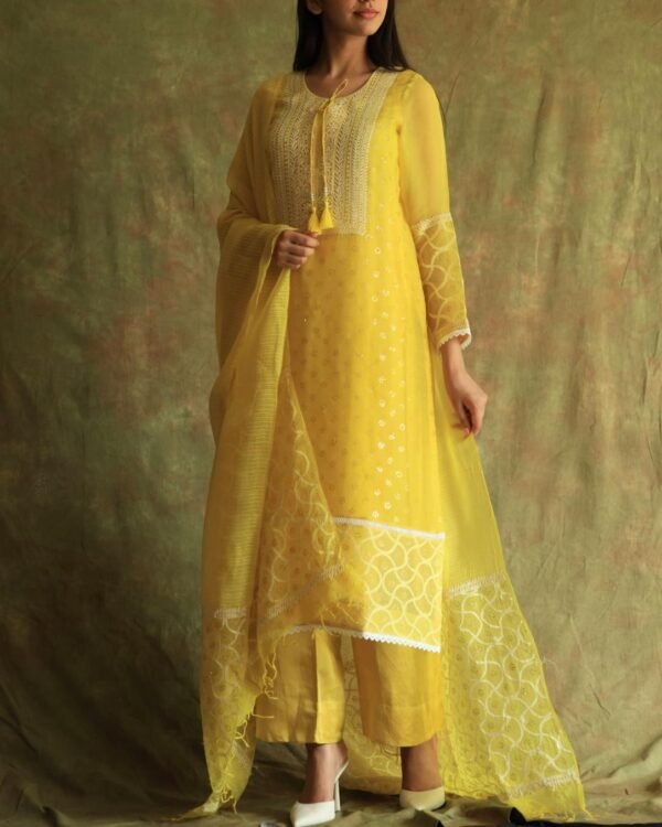 Yellow Mukaish Kamdani Noor Organza Chikankari Kurta Set - Image 11