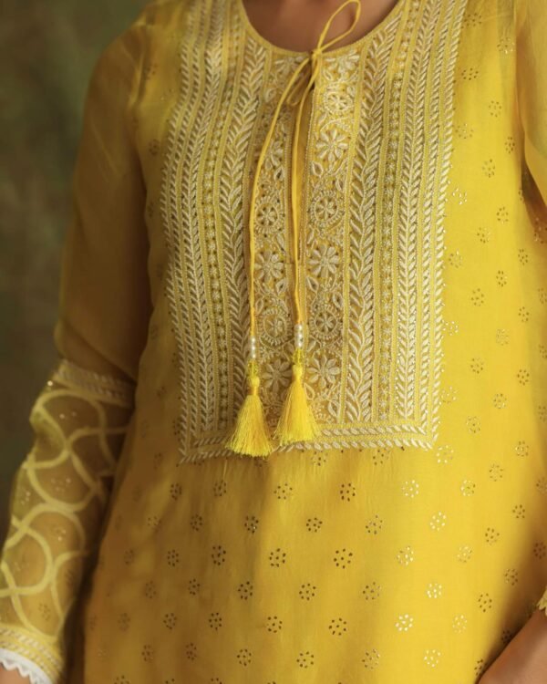 Yellow Mukaish Kamdani Noor Organza Chikankari Kurta Set - Image 12