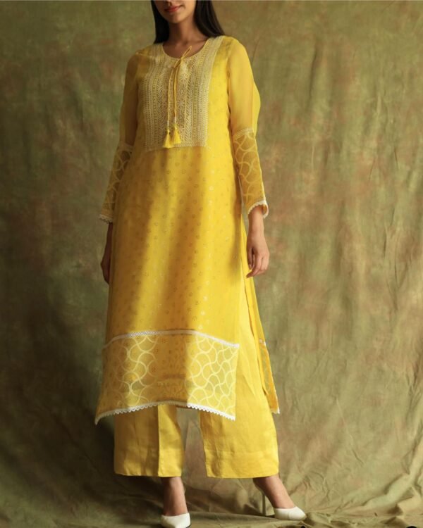 Yellow Mukaish Kamdani Noor Organza Chikankari Kurta Set - Image 13