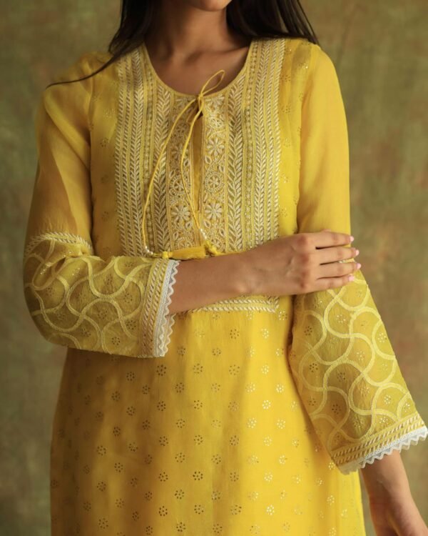 Yellow Mukaish Kamdani Noor Organza Chikankari Kurta Set - Image 15