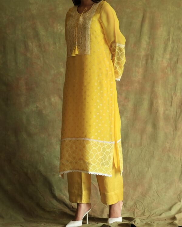 Yellow Mukaish Kamdani Noor Organza Chikankari Kurta Set - Image 4