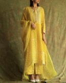 Yellow Mukaish Kamdani Noor Organza Chikankari Kurta Set