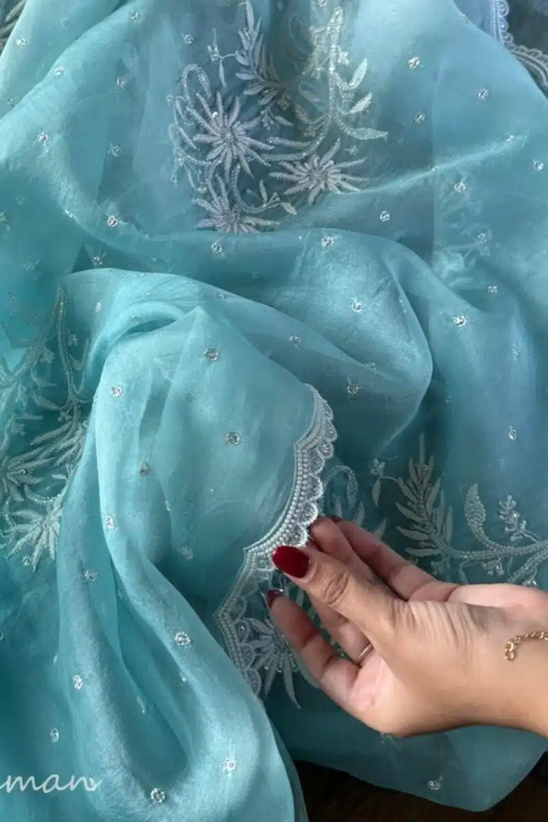 Ice Blue Noor Organza Cutwork Chikankari Saree