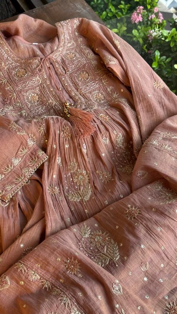 Brick Rose shade Tissue Silk Chikankari Anagarkha - Image 6